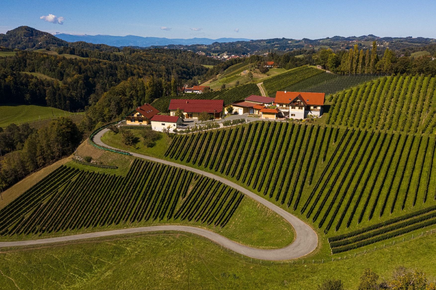 DJI_0286-Bearbeitet (1)